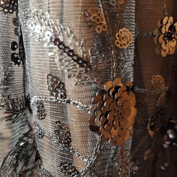 DRESS THE POPULATION ELISE EMBROIDERED SEQUINED TULLE FIT AND FLARE DRESS NWT M - Picture 10 of 14